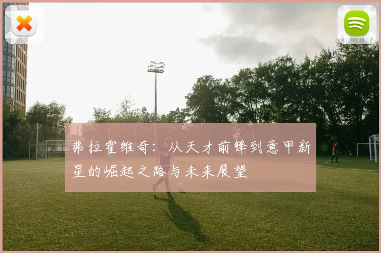 弗拉霍维奇：从天才前锋到意甲新星的崛起之路与未来展望