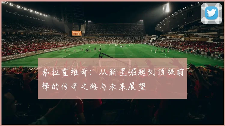 弗拉霍维奇：从新星崛起到顶级前锋的传奇之路与未来展望