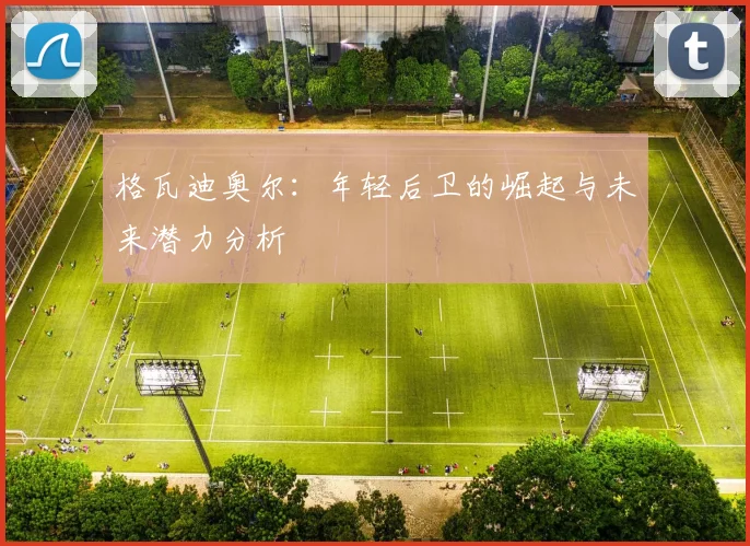 格瓦迪奥尔：年轻后卫的崛起与未来潜力分析