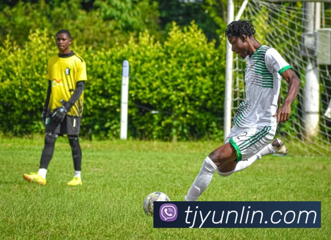 App Interface Preview